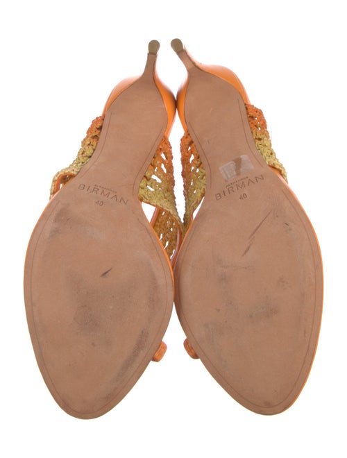 Alexandre Birman Slides