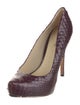 Alexandre Birman Snakeskin Animal Print Pumps