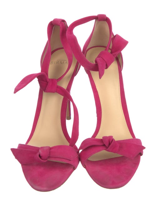 Alexandre Birman Suede Sandals
