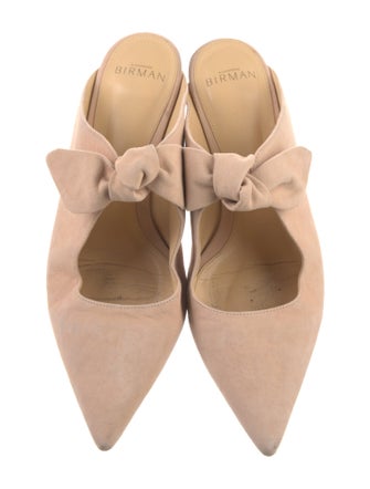 Alexandre Birman Suede Mules