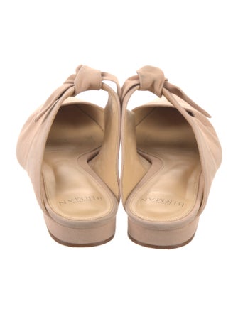 Alexandre Birman Suede Mules