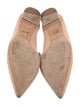 Alexandre Birman Suede Mules