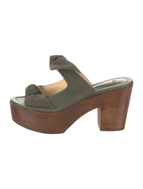 Alexandre Birman Suede Slides