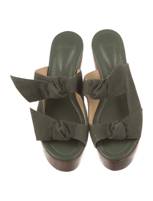 Alexandre Birman Suede Slides