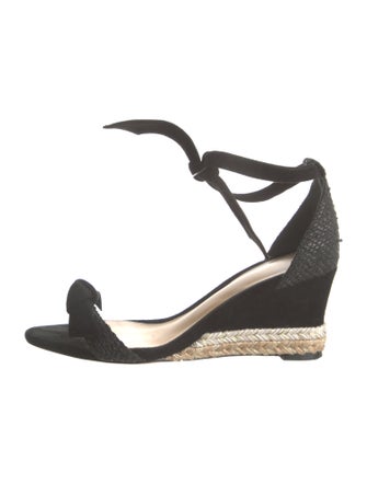 Alexandre Birman Suede Espadrilles