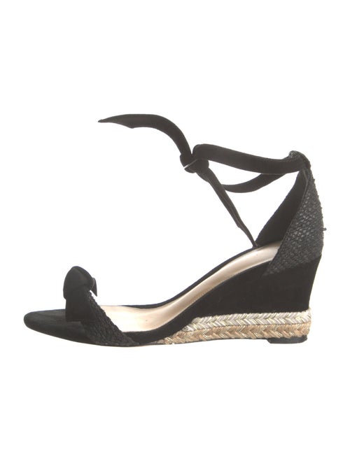 Alexandre Birman Suede Espadrilles