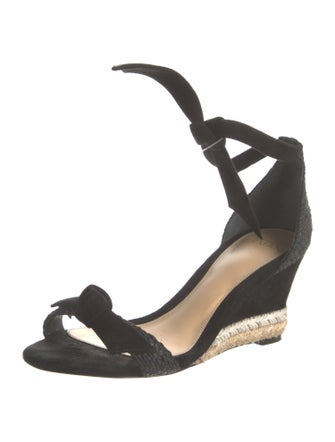 Alexandre Birman Suede Espadrilles