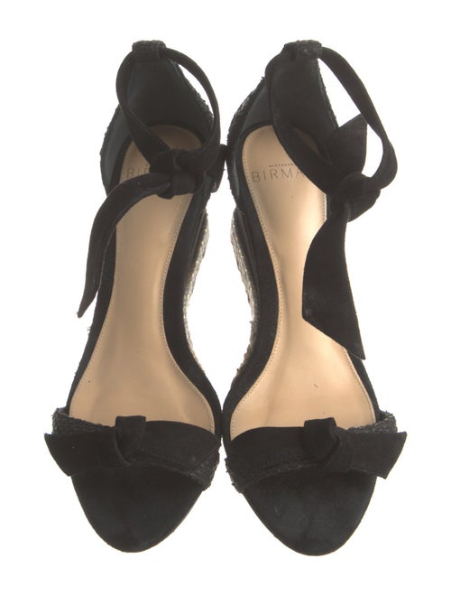 Alexandre Birman Suede Espadrilles