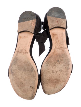 Alexandre Birman Suede Sandals