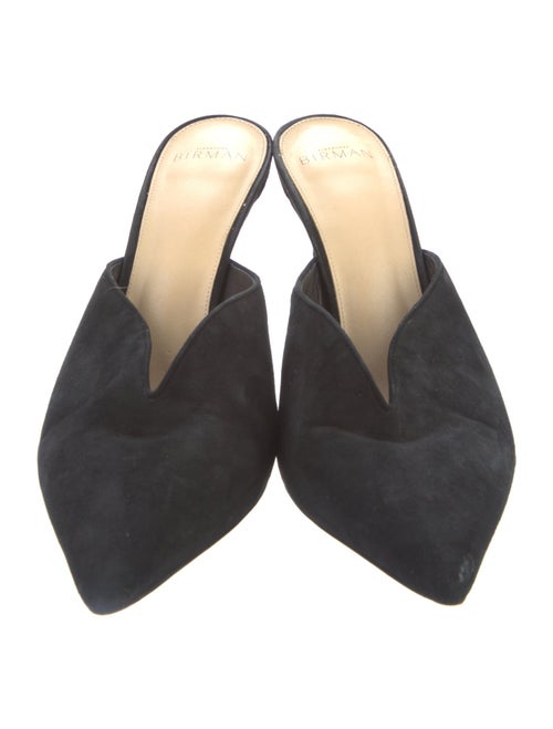 Alexandre Birman Suede Mules
