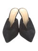 Alexandre Birman Suede Mules