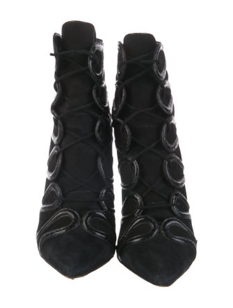 Alexandre Birman Suede Boots