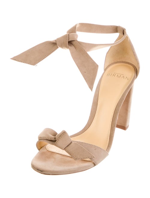 Alexandre Birman Suede Mules