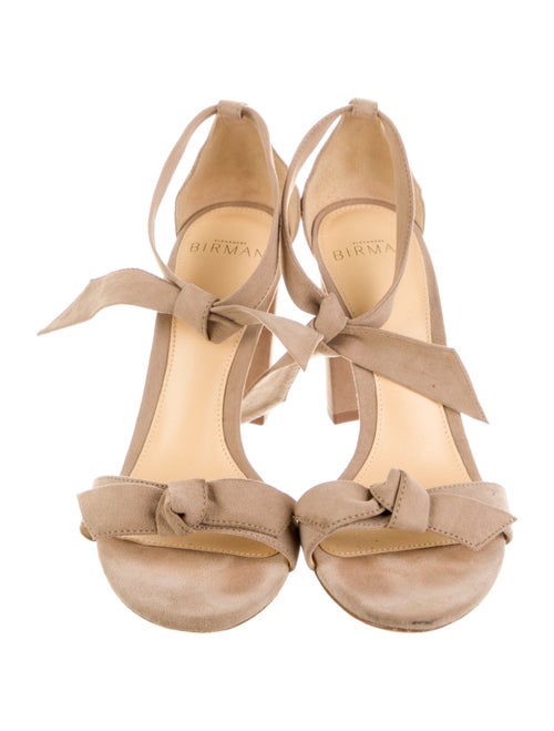 Alexandre Birman Suede Mules