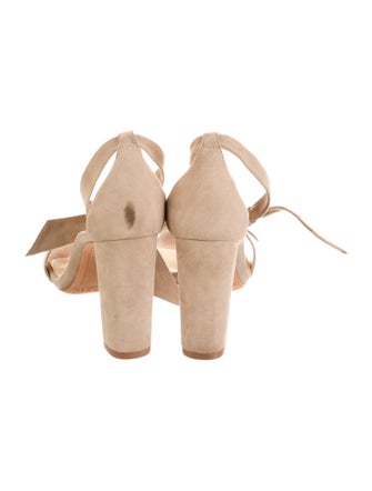 Alexandre Birman Suede Mules