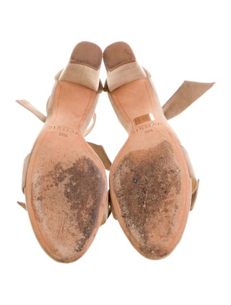 Alexandre Birman Suede Mules