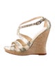 Alexandre Birman Jute Animal Print Espadrilles