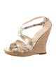 Alexandre Birman Jute Animal Print Espadrilles