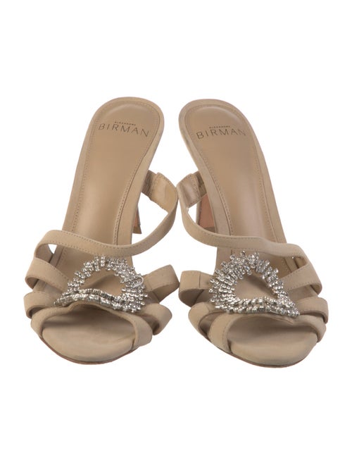 Alexandre Birman Leather Slides