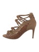 Alexandre Birman Suede Sandals