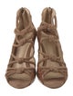 Alexandre Birman Suede Sandals