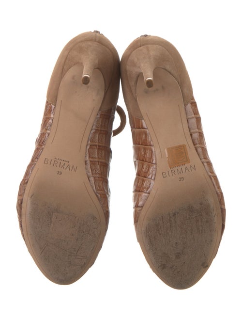 Alexandre Birman Suede Sandals