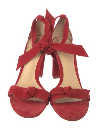 Alexandre Birman Suede Sandals