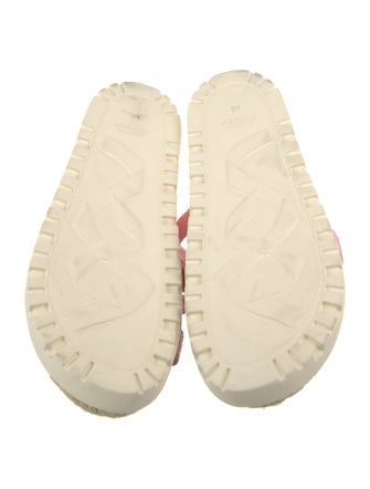 Alexandre Birman Espadrilles