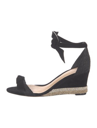 Alexandre Birman Suede Espadrilles