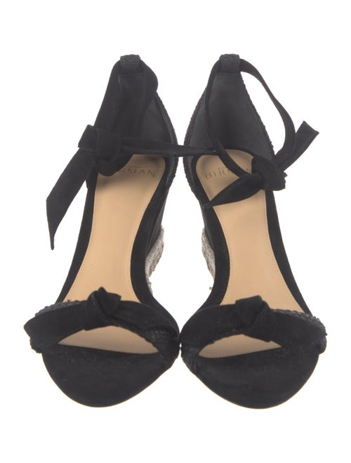 Alexandre Birman Suede Espadrilles