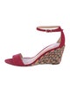 Alexandre Birman Suede Sandals