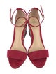Alexandre Birman Suede Sandals
