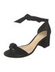 Alexandre Birman Suede Sandals