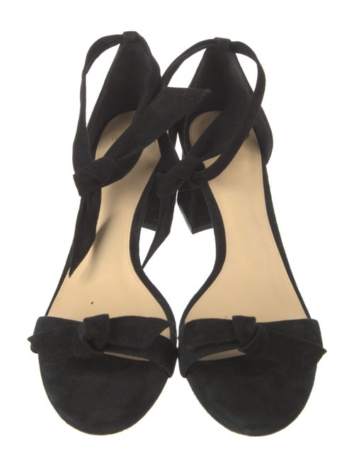 Alexandre Birman Suede Sandals