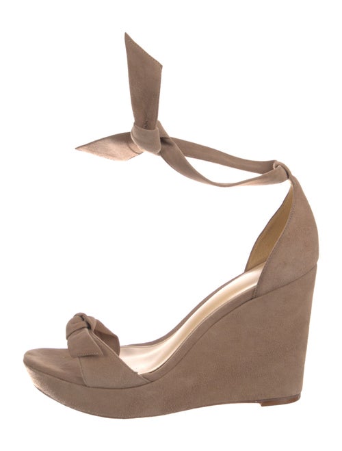 Alexandre Birman Suede Sandals