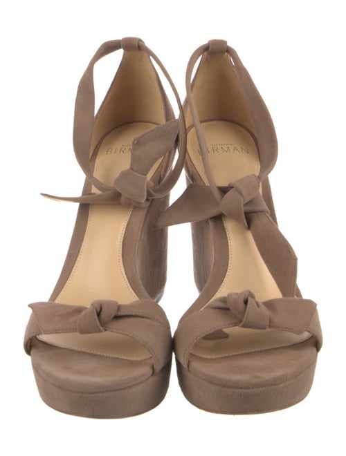 Alexandre Birman Suede Sandals