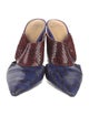Alexandre Birman Leather Animal Print Mules