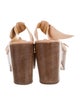Alexandre Birman Suede Slides