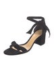 Alexandre Birman Suede Mules