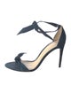 Alexandre Birman Suede Sandals