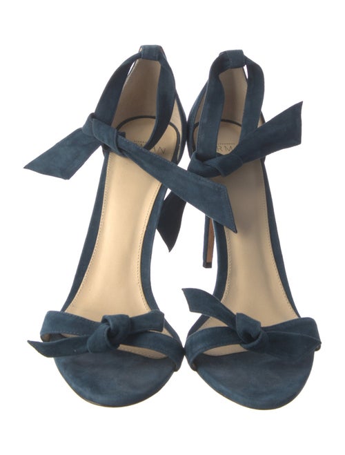 Alexandre Birman Suede Sandals