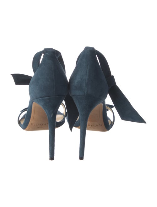 Alexandre Birman Suede Sandals