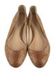 Alexandre Birman Python Animal Print Ballet Flats