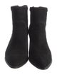 Alexandre Birman Suede Boots