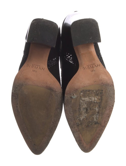 Alexandre Birman Suede Boots