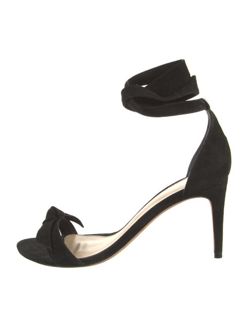Alexandre Birman Suede Sandals