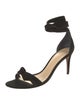 Alexandre Birman Suede Sandals