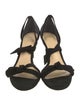 Alexandre Birman Suede Sandals