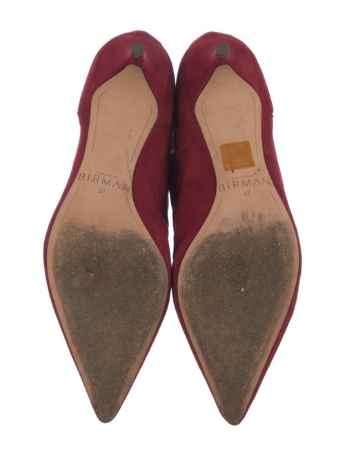 Alexandre Birman Suede Boots