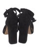 Alexandre Birman Suede D'Orsay Pumps